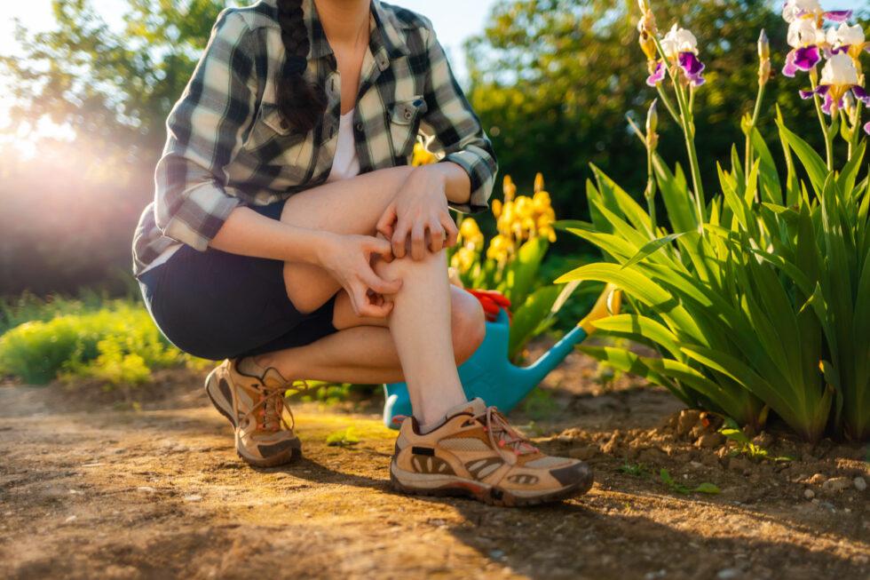 How Serious Is a Poison Ivy Rash?