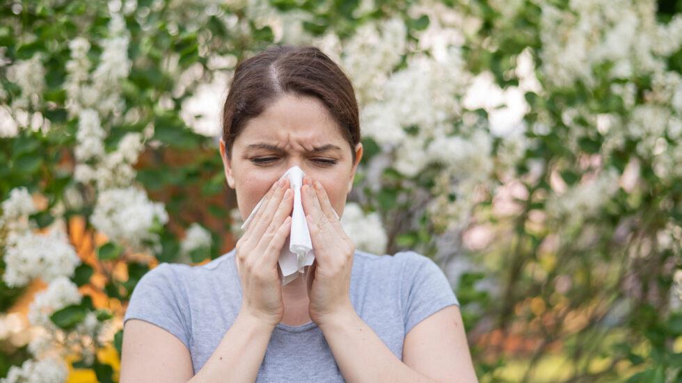 Spring Congestion in South Asheville: Allergies or Sinus Infection?