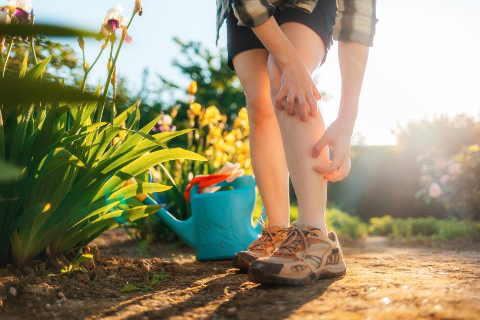 Could Your Poison Ivy Rash Need Medical Treatment?