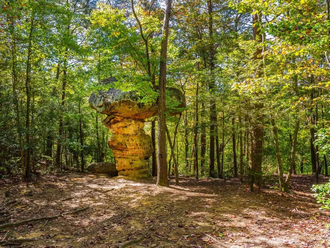 Mushroom Rock on Signal Mountain, TN, is a sandstone pedestal rock formed by natural forces of glaciers, wind, and water. It is found on Signal Mountain via the Shackleford Park Trail in Tennessee. 