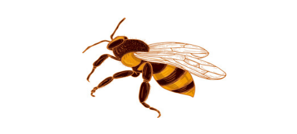 Bee ready to sting you this angry bee season