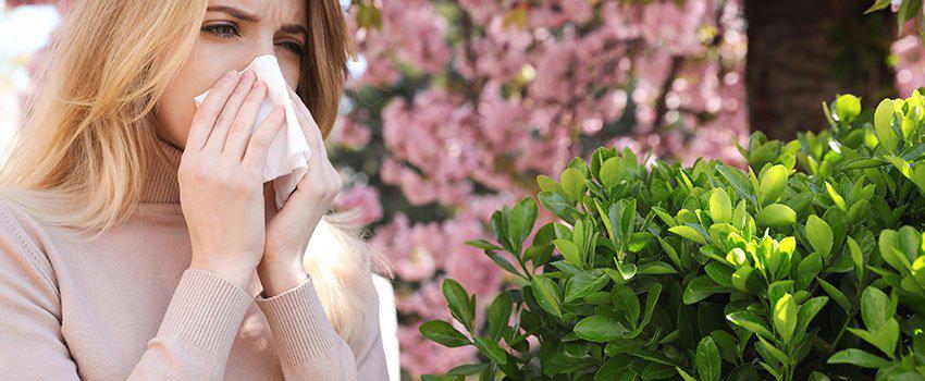 What Triggers My Seasonal Allergies?