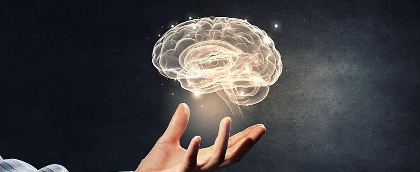 How Can I Support My Brain As I Age?