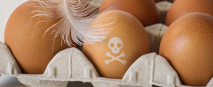 What Happens if Kids Get Salmonella?