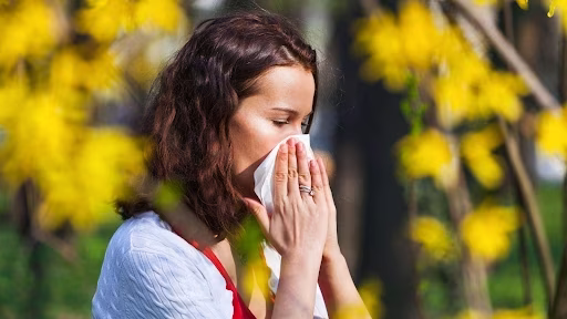 Navigating Fall Allergies: Effective Prevention and Treatment Strategies