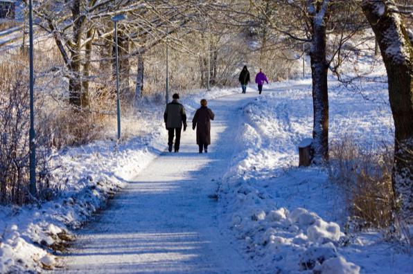 Vitamin D in Winter: Symptoms of Low Vitamin D and When to Check