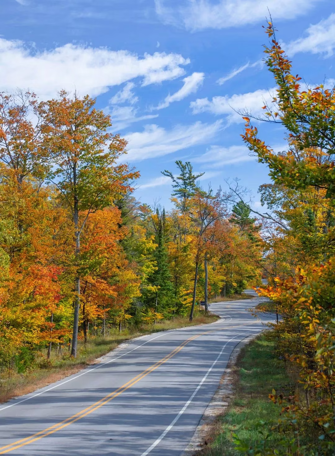 Colorful woods on either side of a country road in Fall.