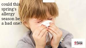 Could This Spring's Allergy Season Be a Bad One in Hartford