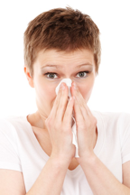 Flu Season Facts, Part 1