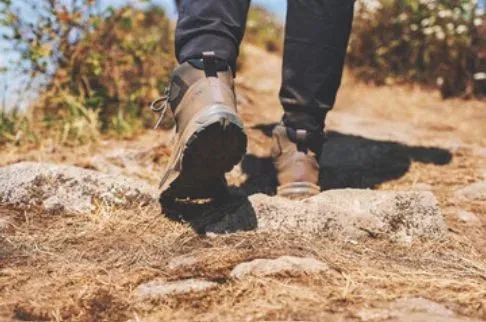 Protecting Yourself from Lyme Disease: Strategies to Avoid Deer Tick Bites