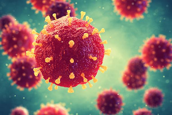 What Is the Difference Between a Bacterial Infection and a Virus?