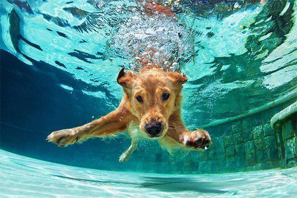 What Can I Do to Be Safe in Water?