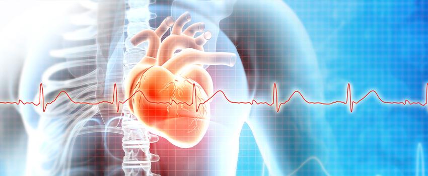 Why Does Blood Pressure Matter?- AFC Urgent Care