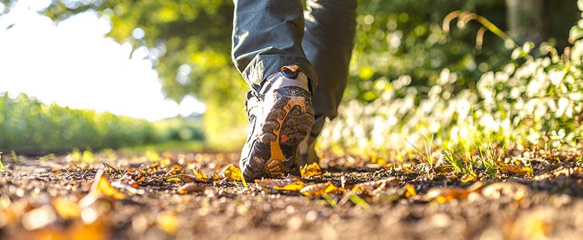 Will Enjoying the Fall Weather Be Beneficial for My Health?