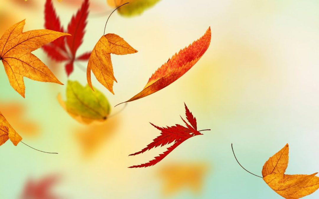 Fall Is Coming