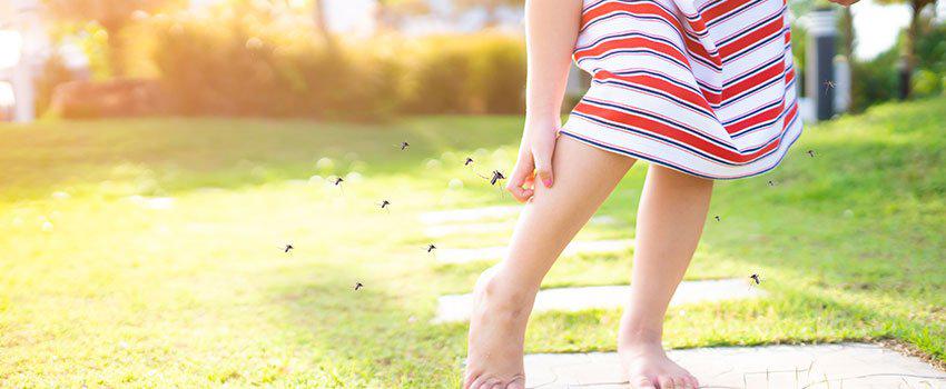 How Can I Prevent Bug Bites?- AFC Urgent Care