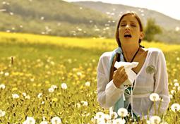 It might seem like a cold at first, but with over half (54.6%) of U.S. residents estimated to test positive for at least one or more allergens, that stuffy nose might actually be allergies. Since it can be hard to tell, here’s what you need to know about seasonal allergies, and what can be done It might seem like a cold at first, but with over half (54.6%) of U.S. residents estimated to test positive for at least one or more allergens, that stuffy nose might actually be allergies. Since it can be hard to tell, here’s what you need to know about seasonal allergies, and what can be done