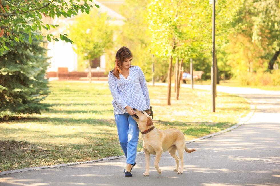 Spring Tick Season: What to Do After a Tick Bite