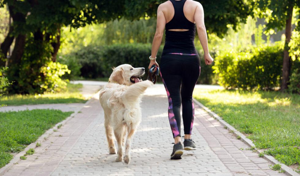 Spring Tick Season: Should You Visit Urgent Care After a Tick Bite?