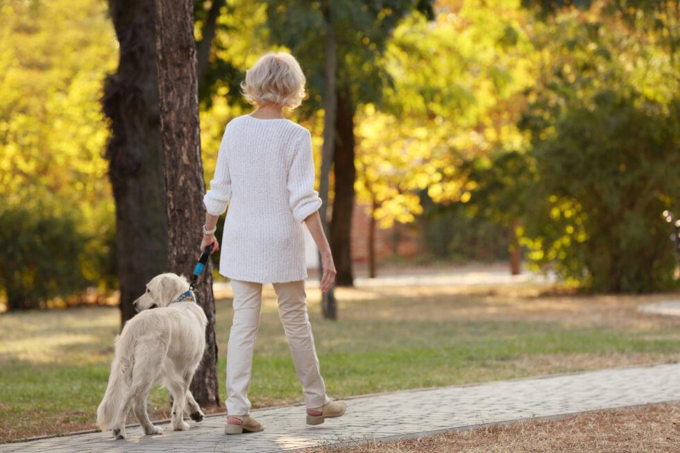 Spring Tick Bites: Symptoms, Prevention & Urgent Care Tips