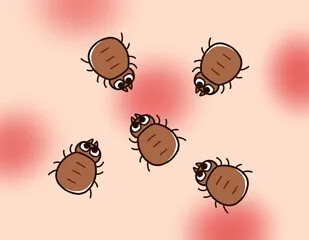 Understanding Deer Ticks and Lyme Disease: Vital Insights To Help Avoid Them