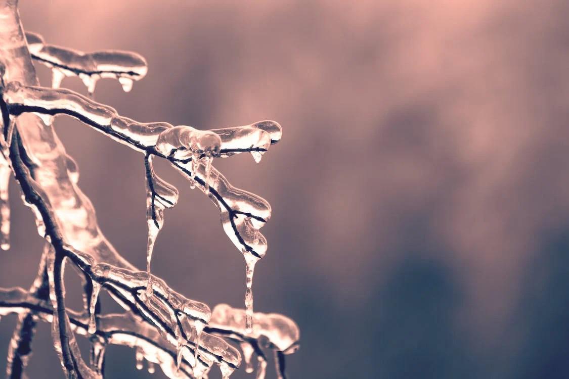 Winter Storm Tips