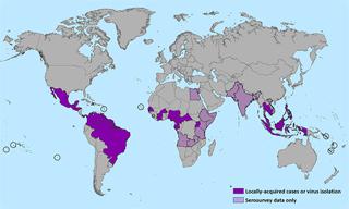 Mosquitoes have always been a source of annoyance. Usually we only need to worry about them in the summer, but the Zika virus outbreak is causing people to sweat throughout the world. So, what exactly is Zika? We’re here to help you learn everything you need to know about Zika virus.Zika virus disease is caused